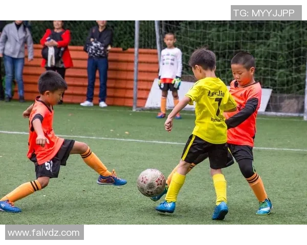 郭宏陆足球：探索中国足球未来的希望与挑战